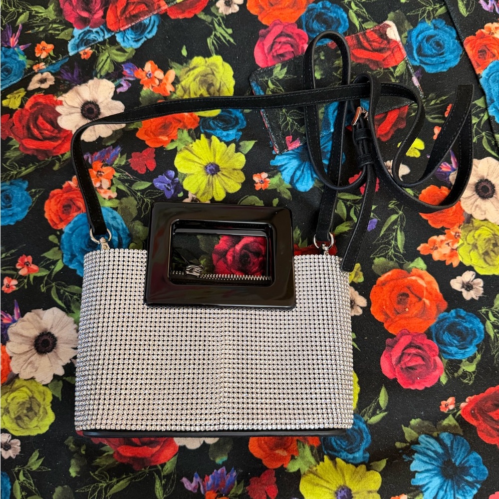 Marina Raphael Evangeline Silver Crystal Bag